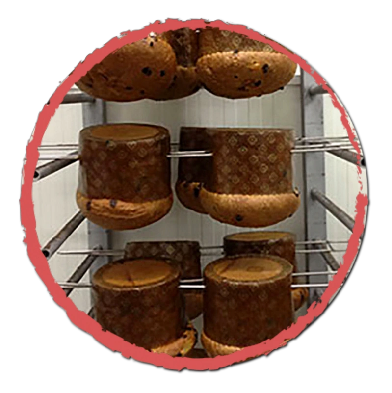 Panettoni asciugatura Panettoni asciugatura